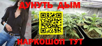 a pvp Рыбинск